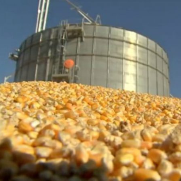 SILOS EM ESTRUTURA METÁLICA E ALVENARIA